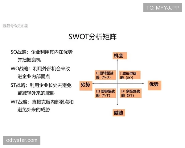 能力与上限争议：潜力评估与实际表现差距分析